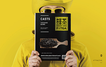 德阳绯茶品牌设计